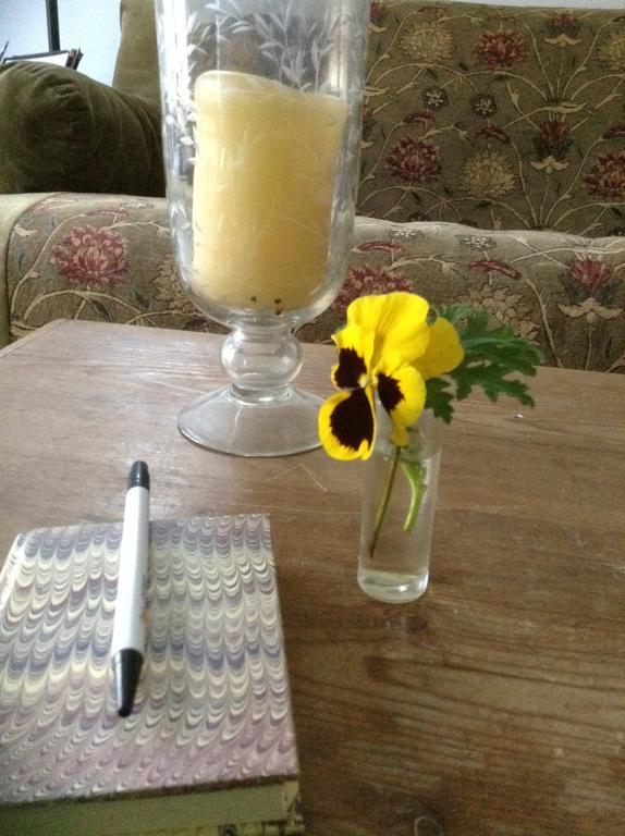 Haddock Hill House Bed & Breakfast Old Chatham ห้อง รูปภาพ